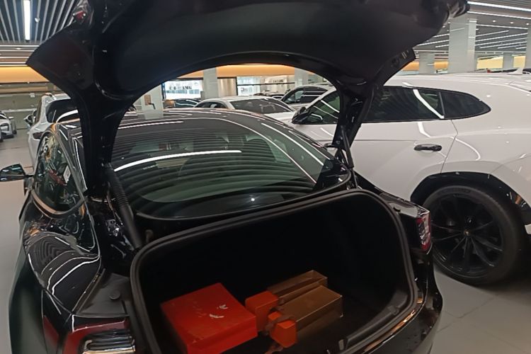 Tesla Model 3 2021 #19 Tesla Model 3 2021 car image #19