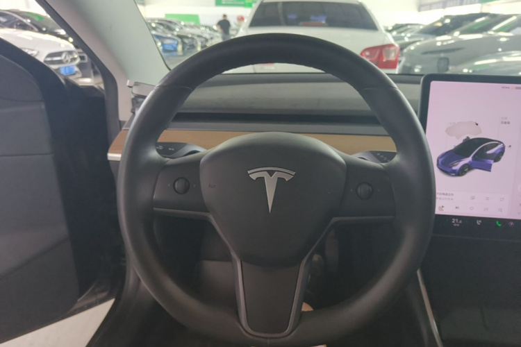 Tesla Model 3 2020 car image #11
