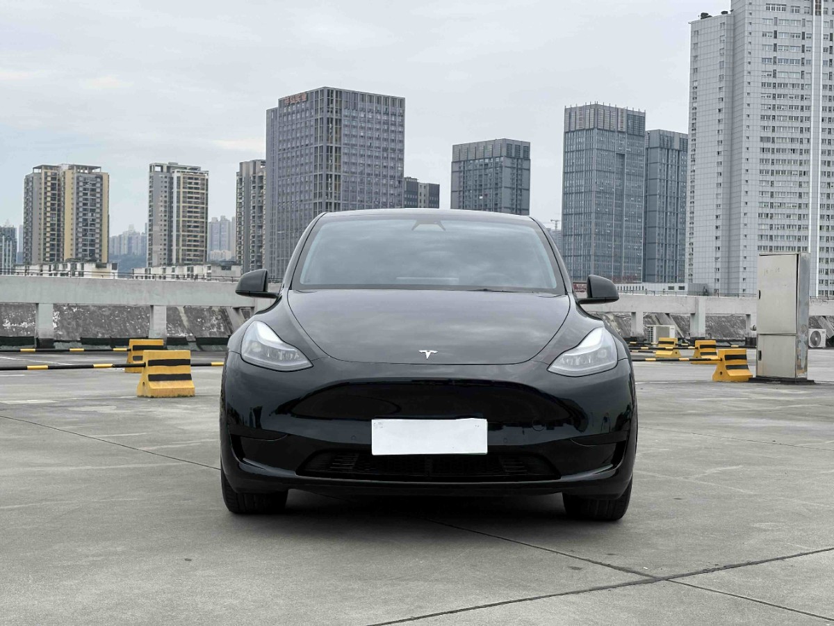 Tesla Model Y 2022 #3 Tesla Model Y 2022 car image #3