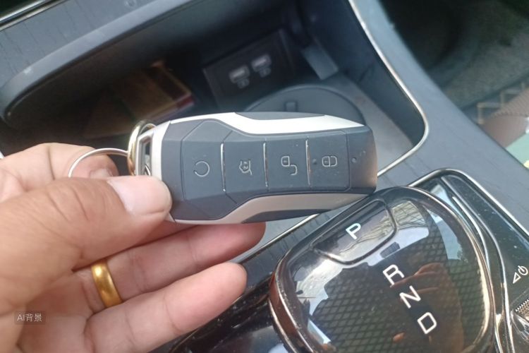 BYD Han 2020 car image #10