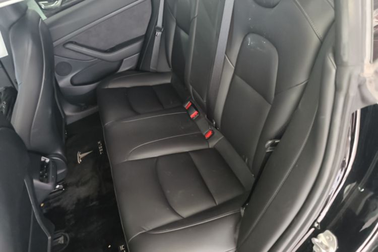 Tesla Model 3 2021 #17 Tesla Model 3 2021 car image #17