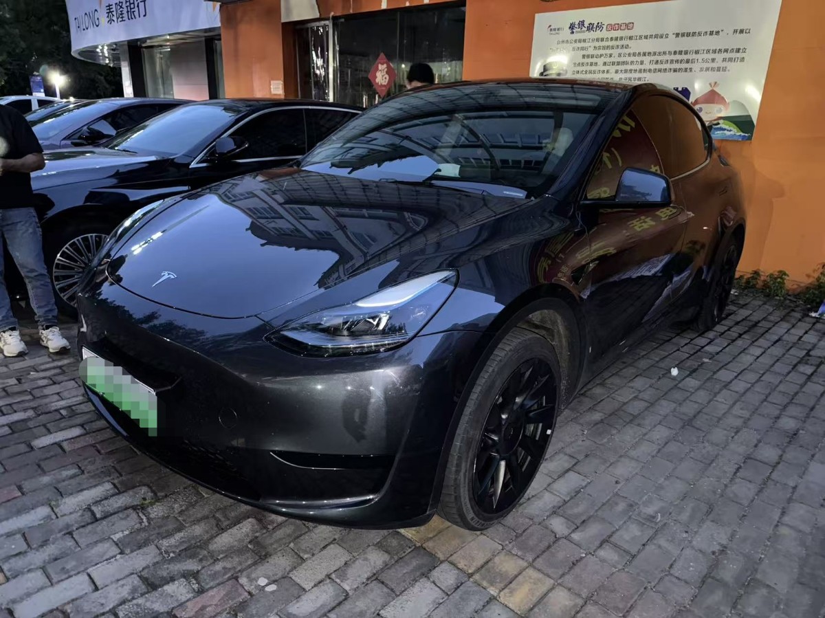 Tesla Model Y 2024 car image #2