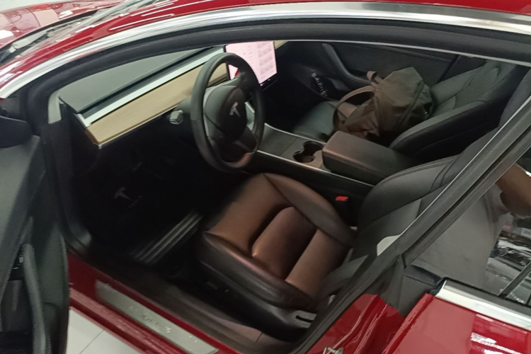 Tesla Model 3 2020 car image #16