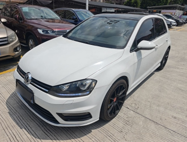 Volkswagen Golf 2016 Volkswagen Golf 2016 汽车图片