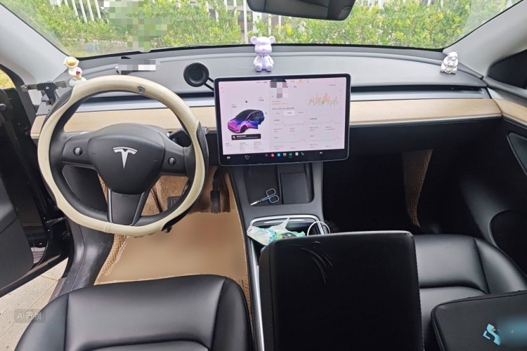 Tesla Model Y 2021 car image #11