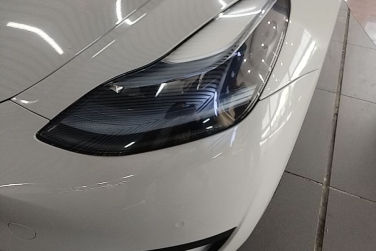 Tesla Model Y 2023 #24 Tesla Model Y 2023 car image #24