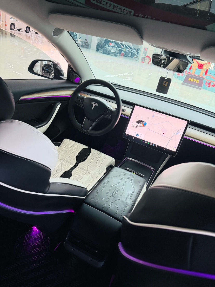 Tesla Model 3 2021 #7 Tesla Model 3 2021 car image #7