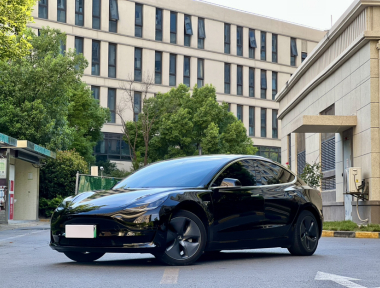Tesla Model 3 2020 Tesla Model 3 2020 car image