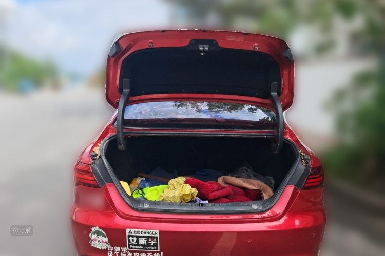 GEELY Binray 2019 #21 GEELY Binray 2019 صورة سيارة #21