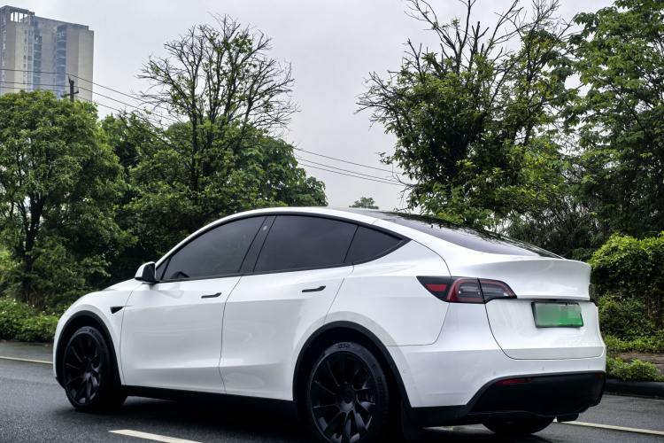 Tesla Model Y 2023 #5 Tesla Model Y 2023 car image #5