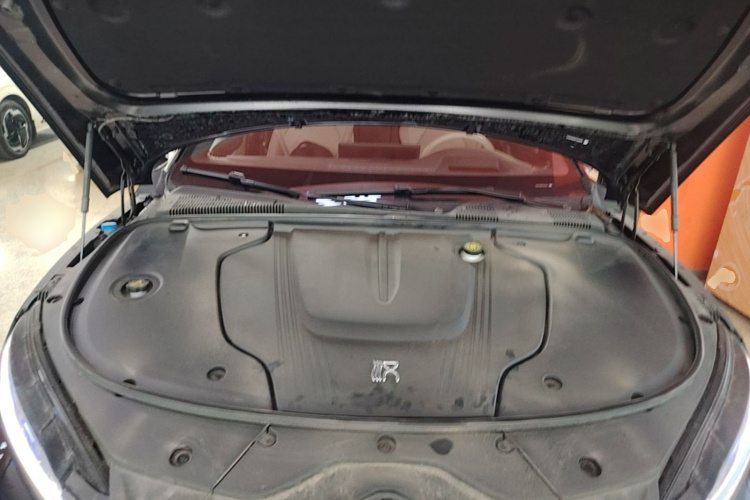 BYD Han 2024 car image #20