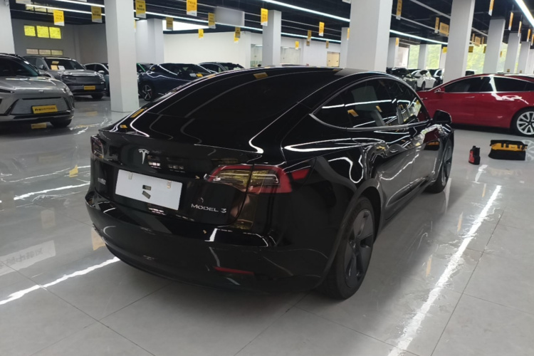 Tesla Model 3 2021 #7 Tesla Model 3 2021 car image #7
