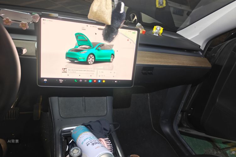 Tesla Model Y 2022 immagine di auto #15