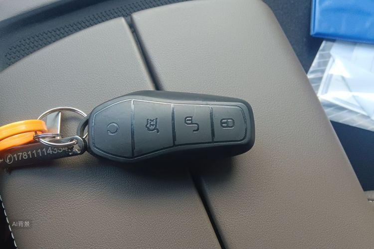 BYD Han 2024 car image #10