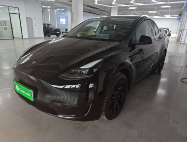 Tesla Model Y 2022 immagine di auto 