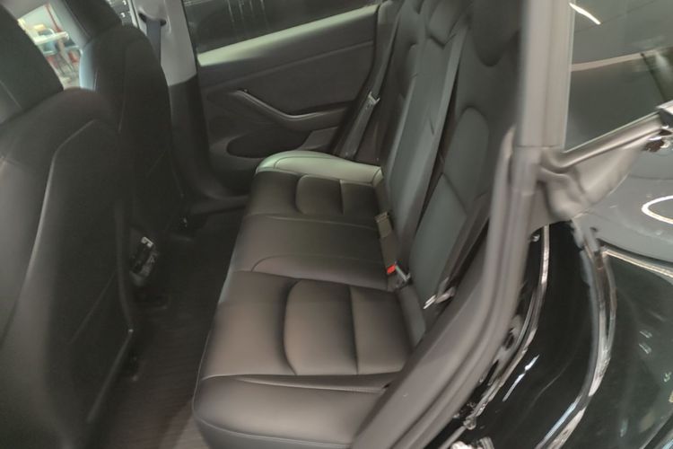 Tesla Model 3 2023 car image #17