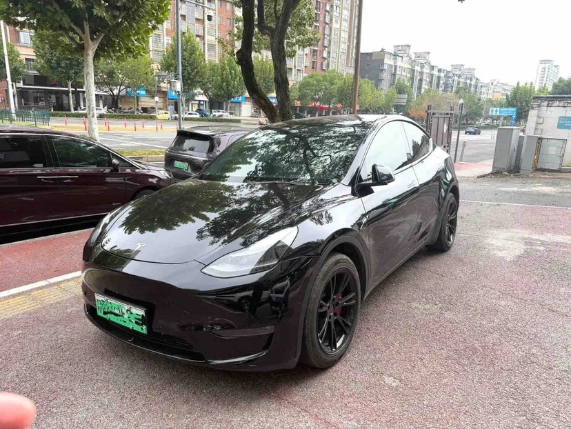 Tesla Model Y 2021 Tesla Model Y 2021 car image