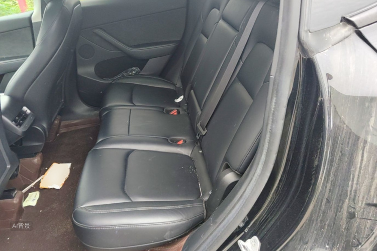 Tesla Model Y 2023 car image #19