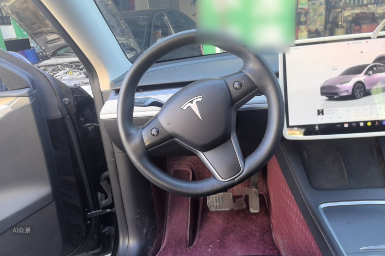 Tesla Model Y 2023 car image #12