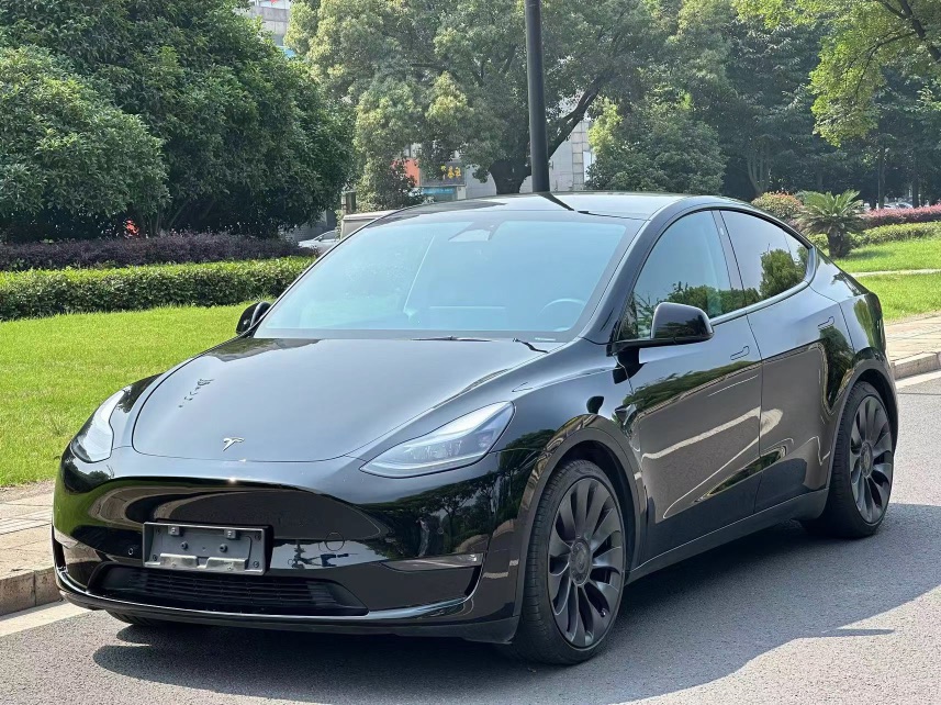 Tesla Model Y 2023 Tesla Model Y 2023 car image