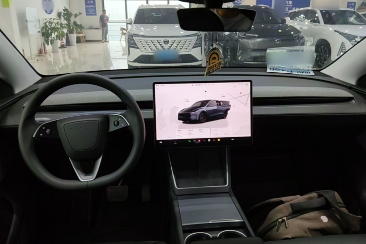 Tesla Model Y 2025 #10 Tesla Model Y 2025 car image #10