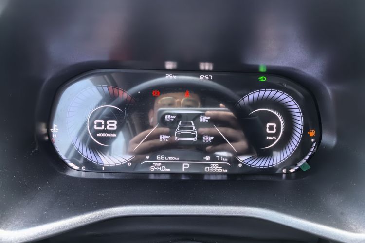 GEELY Emgrand 2022 immagine di auto #12