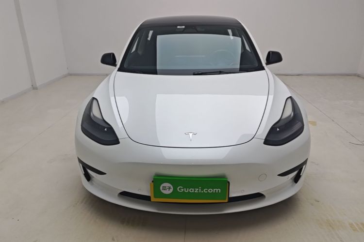 Tesla Model 3 2022 imagem de carro #3