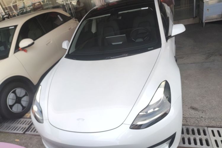 Tesla Model 3 2021 car image #3