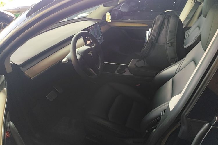 Tesla Model Y 2021 car image #19