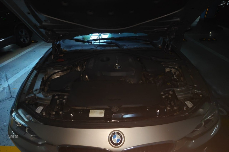 BMW 3 Series 2017 immagine di auto #22