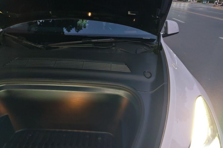 Tesla Model Y 2023 #28 Tesla Model Y 2023 car image #28