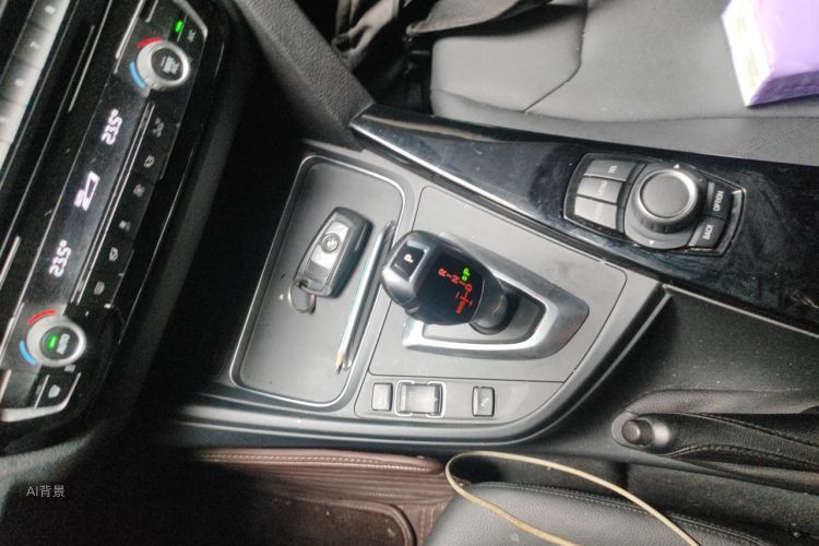 BMW 3 Series 2016 car image #16