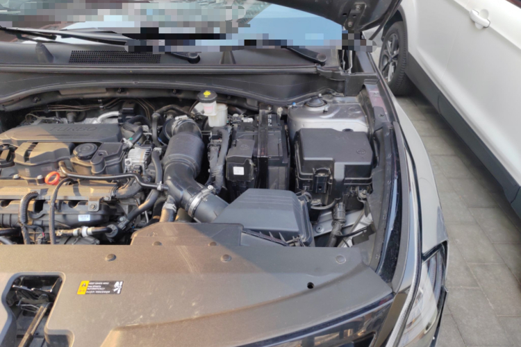 起亚 狮铂拓界 2024 汽车图片 #29