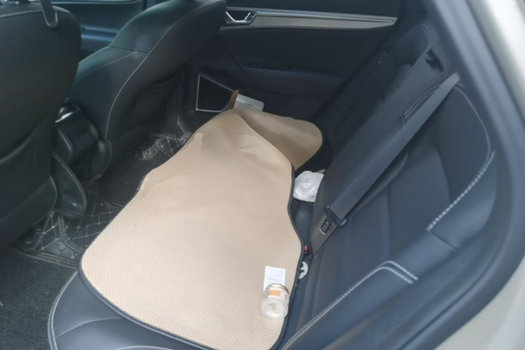 GEELY Emgrand GS 2020 car image #19
