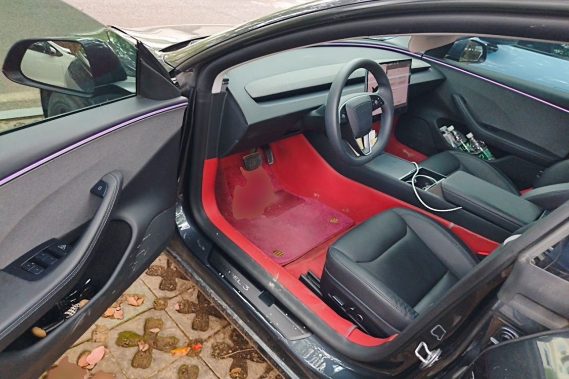 Tesla Model 3 2025 #25 Tesla Model 3 2025 immagine di auto #25