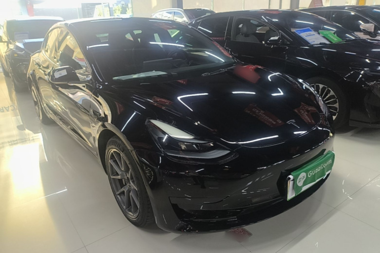 Tesla Model 3 2021 immagine di auto #6