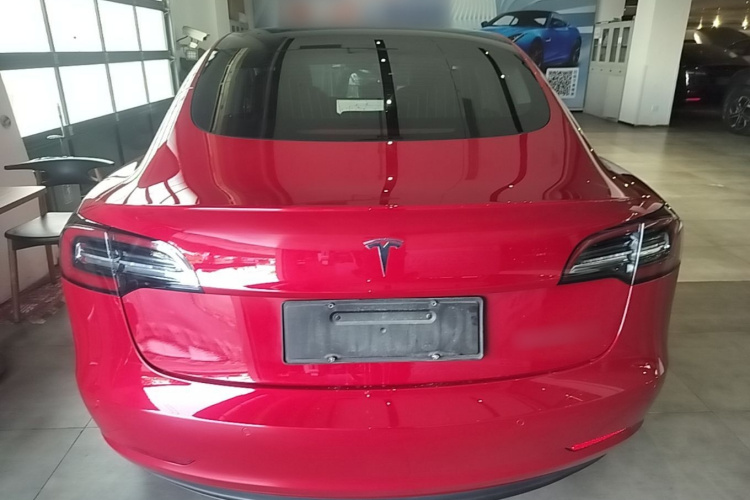 Tesla Model 3 2020 immagine di auto #6