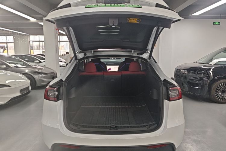 Tesla Model Y 2024 car image #19