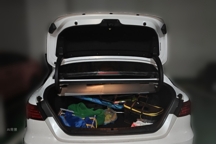 GEELY Binray 2018 #21 GEELY Binray 2018 image de voiture #21