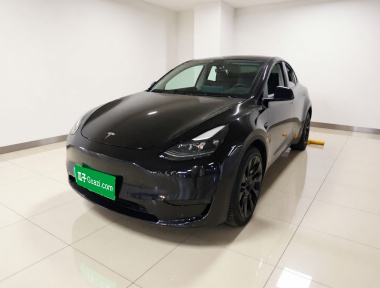 Tesla Model Y 2022 Tesla Model Y 2022 car image