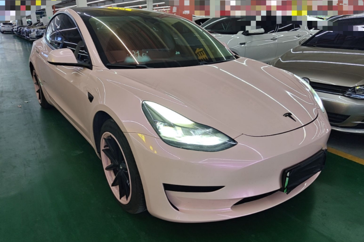 Tesla Model 3 2021 car image #6