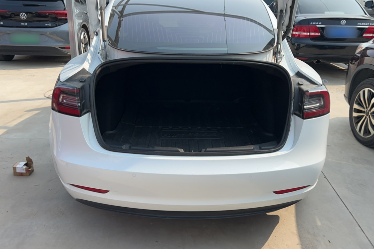 Tesla Model 3 2020 #22 Tesla Model 3 2020 car image #22