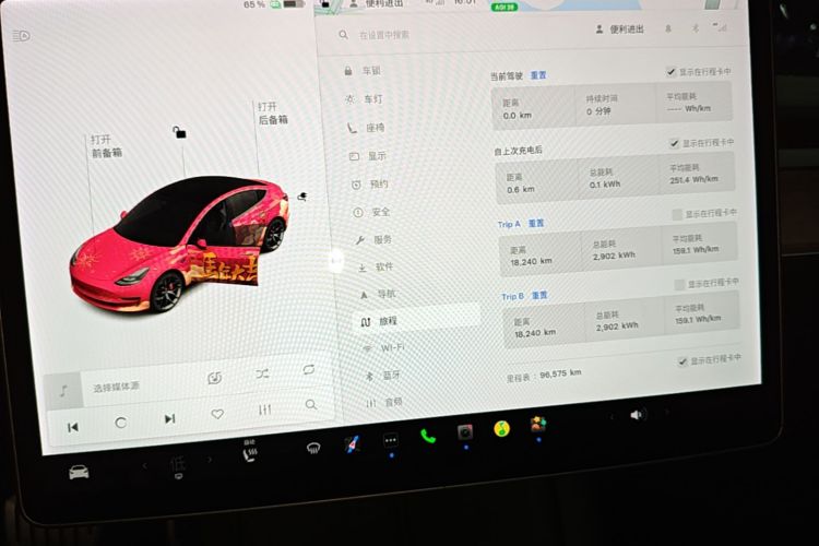 Tesla Model 3 2021 car image #16