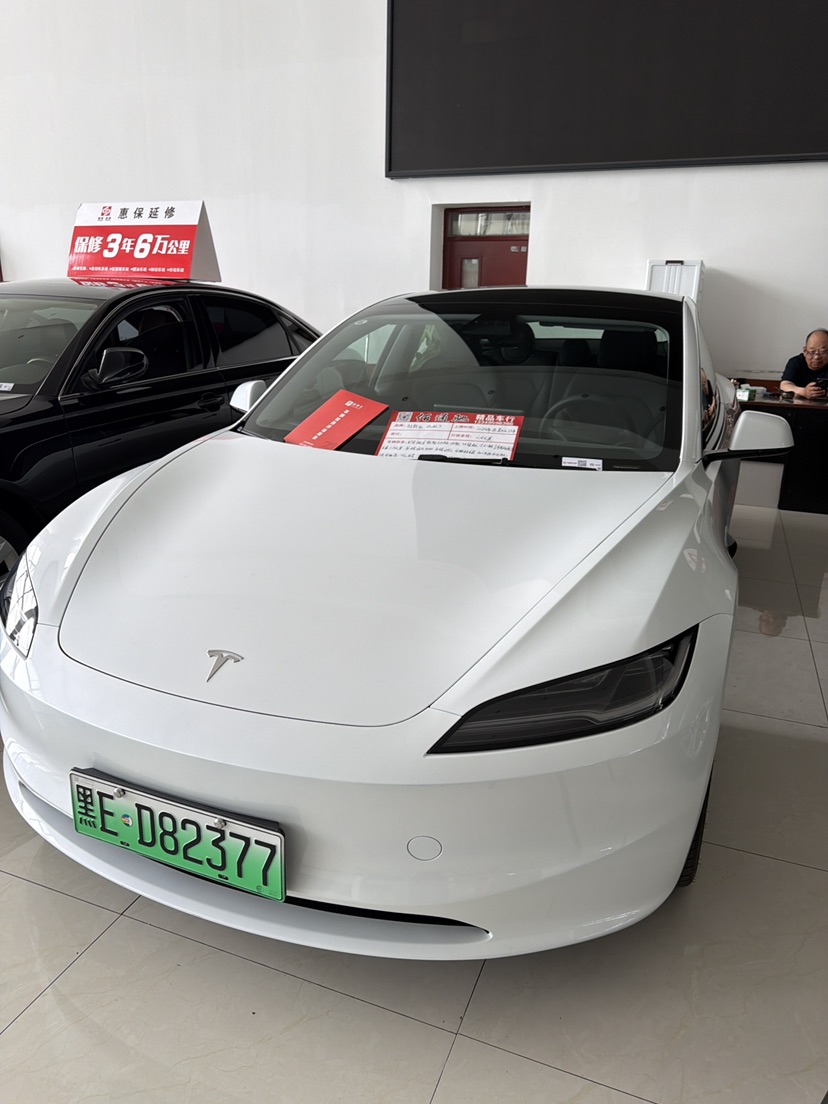 Tesla Model 3 2024 immagine di auto #2