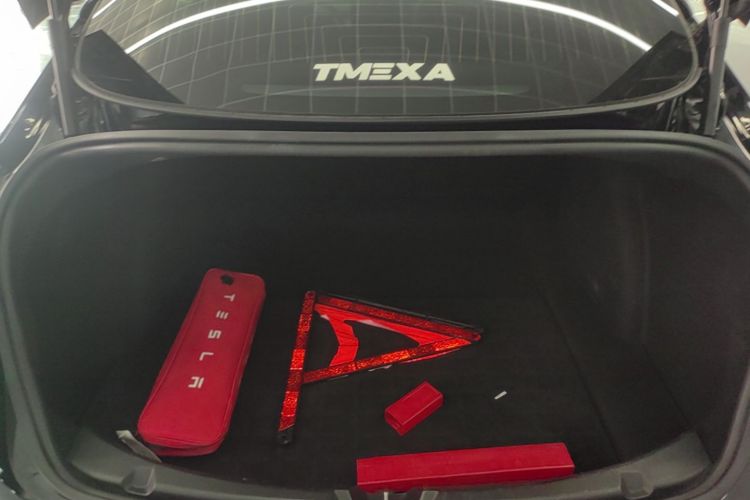Tesla Model 3 2020 car image #19