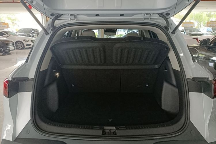 BYD YuanUP 2024 car image #19