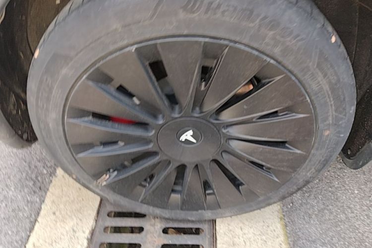 Tesla Model Y 2022 immagine di auto #10