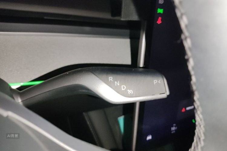 Tesla Model Y 2024 car image #16