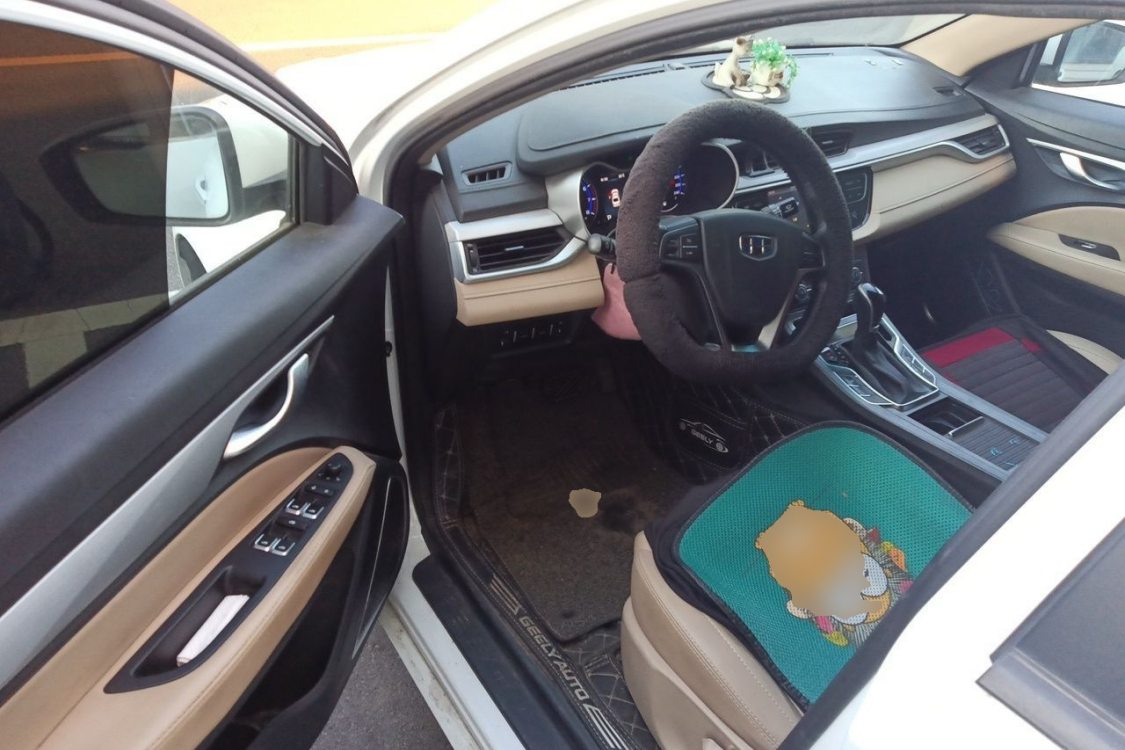 GEELY Emgrand 2019 #23 GEELY Emgrand 2019 صورة سيارة #23