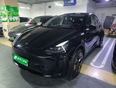 Tesla Model Y 2022 car image 